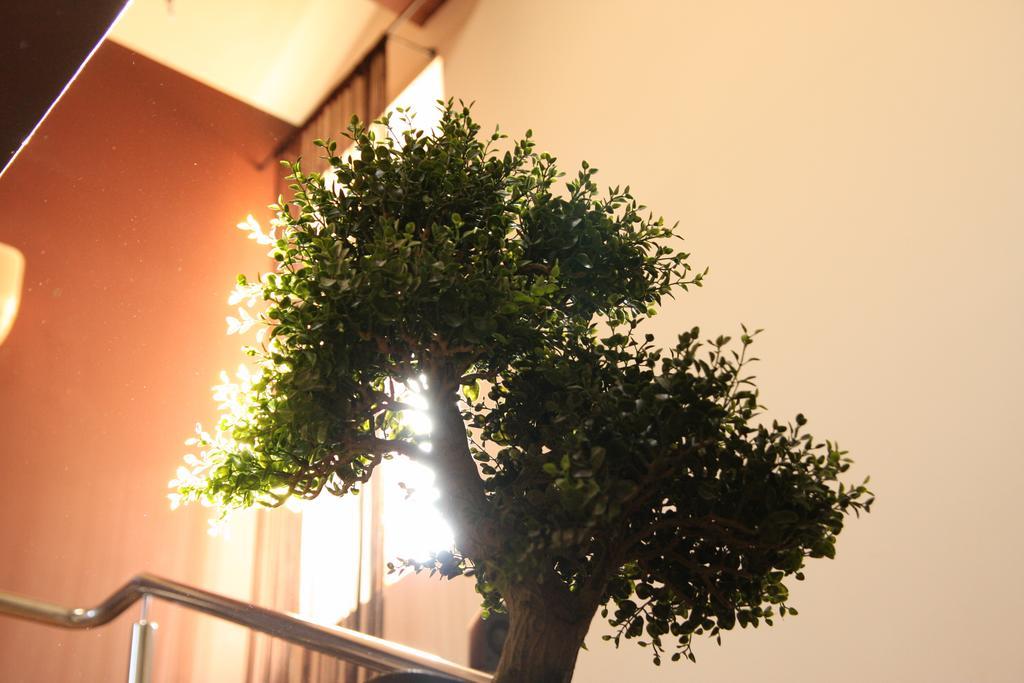 Circea Rixo'S Guesthouse מראה חיצוני תמונה